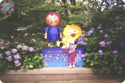 парк цветов фото  丁香花