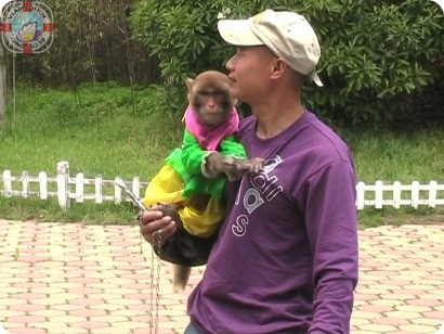 большая обезьяна 猴子